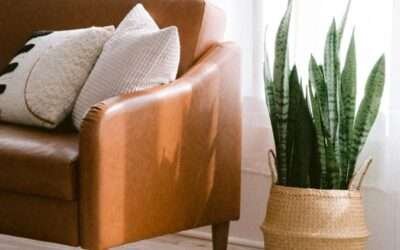 Conoce creditax las mejores soluciones de credito para comprar la casa de tus sueños